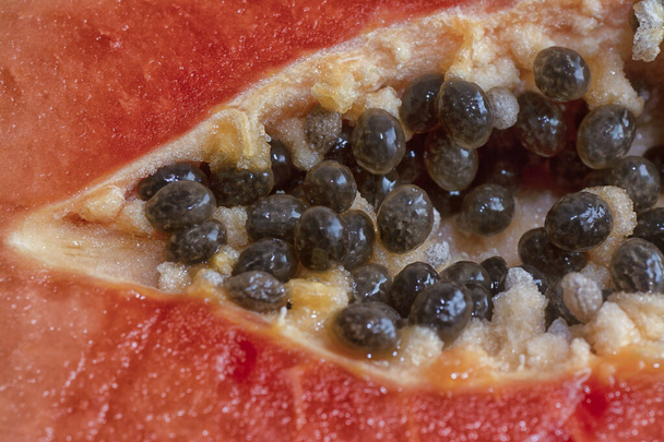 half section of the fresh ripe Papaya fruit. - Photo, Image