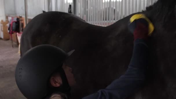 Girl preparing horse for riding - Footage, Video