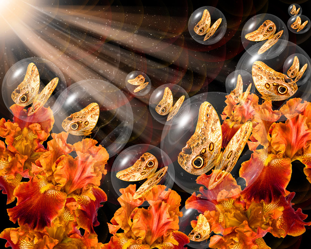 Mariposas de bronce en globos de cristal
 - Foto, Imagen