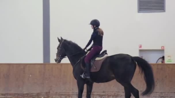 Lány lovaglás a ló a víziló - Felvétel, videó