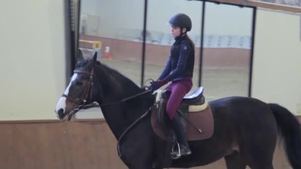Lány lovaglás a ló a víziló - Felvétel, videó