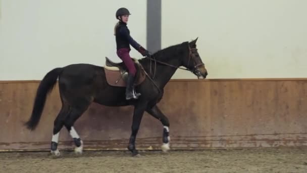 Mädchen reitet ihr Pferd auf Hippodrom - Filmmaterial, Video