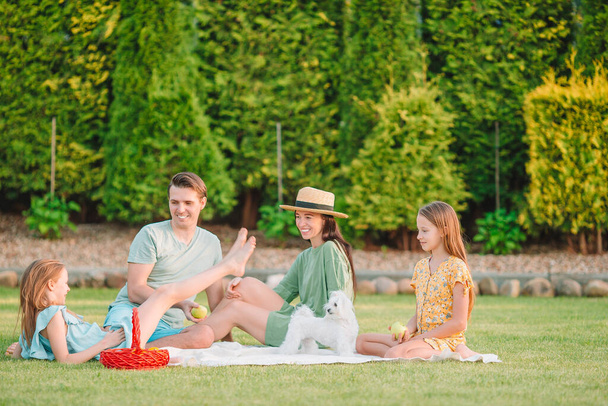 Gelukkige familie op een picknick in het park op een zonnige dag - Foto, afbeelding