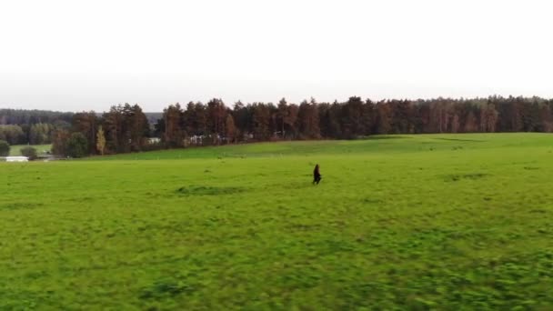 Disparando desde el dron de una joven corriendo a través de un gran campo verde contra el telón de fondo de la naturaleza y la aldea - Imágenes, Vídeo