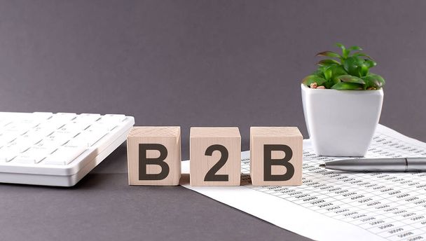 Concepto palabra B2B en los bloques de madera sobre el fondo gris de flor verde y gráfico. - Foto, Imagen