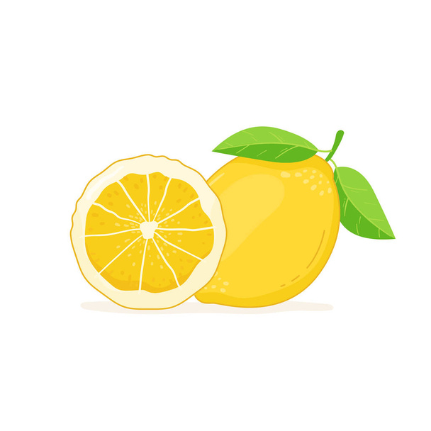 Limón con hojas aisladas sobre fondo blanco - Vector, Imagen
