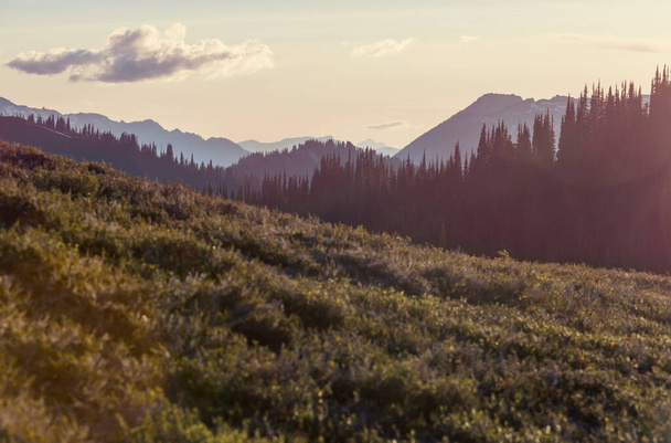 Belo pico de montanha em North Cascade Range, Washington, EUA - Foto, Imagem