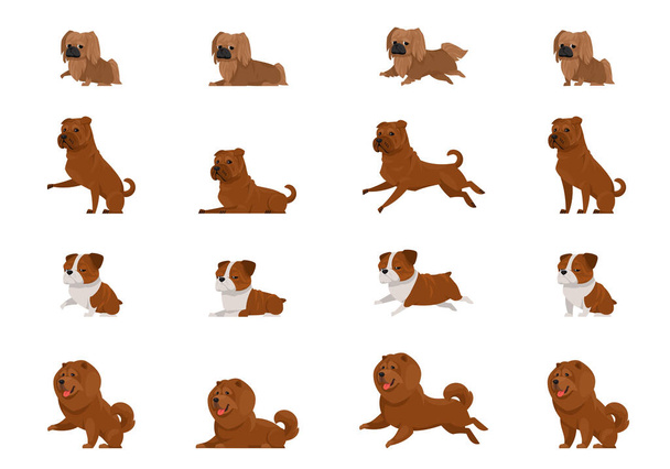 Set of dogs in different poses. - Vector, Image