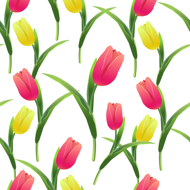 Beautiful spring seamless pattern with Yellow,red tulips.The flowers on a white background.Vector illustration.Print for gift wrapping,fabric,paper,postcards and website design. - Вектор, зображення