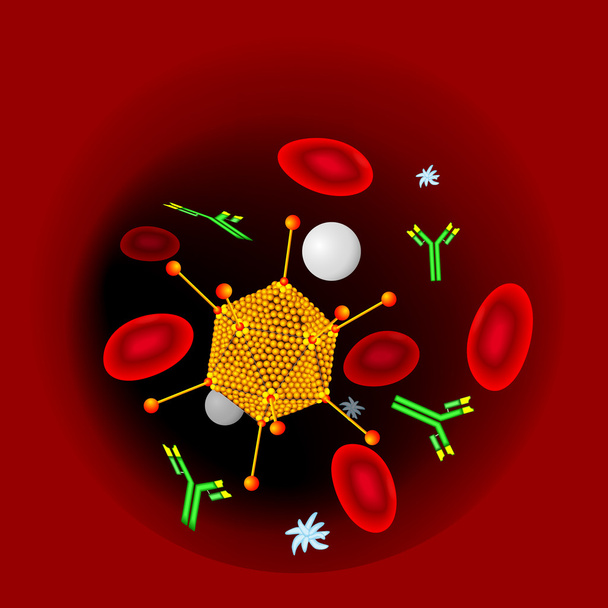 Virusinfektion, Antikörper und Blutzellen - Vektor, Bild