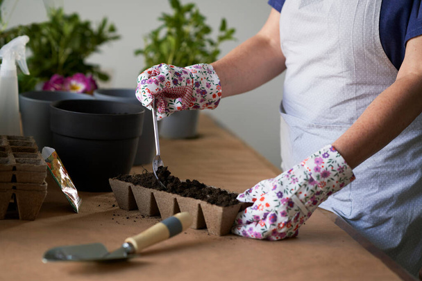 Primer plano de la mujer irreconocible plantando plántulas en casa - Foto, Imagen
