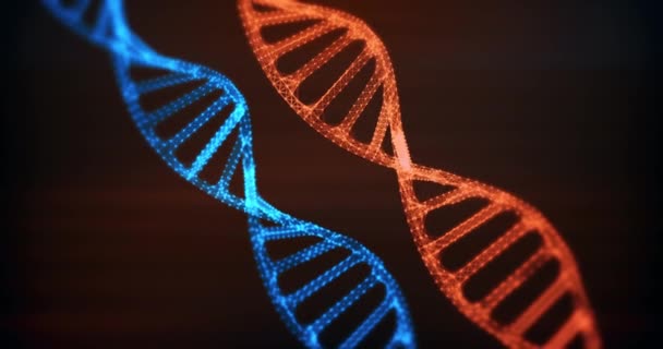 Abstrakcyjny DNA molekuła struktura pojęcie animacja tło pętla - Materiał filmowy, wideo