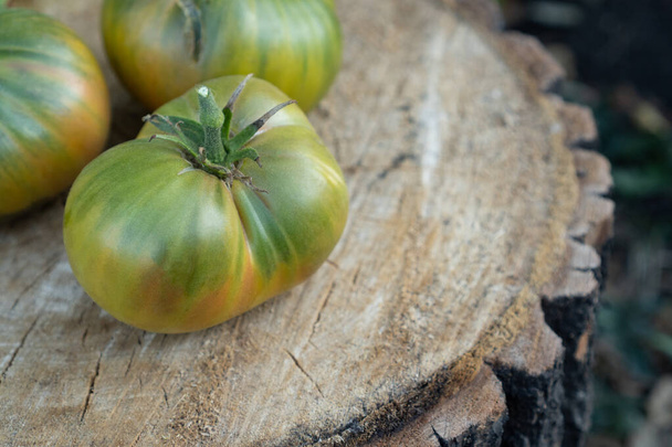 In the home garden, three large, fleshy and very juicy green tomatoes lie on a stump. Organic, fresh produce is sold at the local farmers market. The concept of gardening and agriculture. Idea seeds - Photo, Image