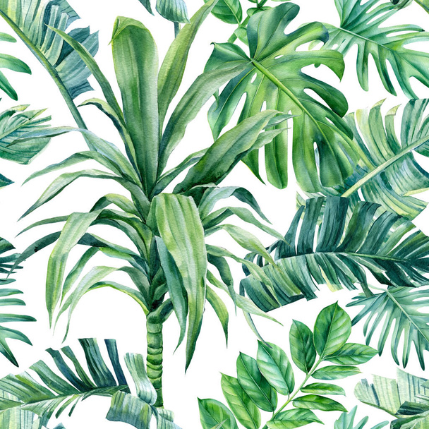Tropische palmbladeren op een geïsoleerde achtergrond. Aquarelillustratie, naadloos patroon - Foto, afbeelding