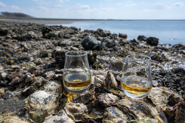 Degustacja jednosłodowej lub mieszanej szkockiej whisky i dna morskiego w czasie odpływu z algami, kamieniami i ostrygami na tle, prywatne wycieczki do Szkocji, Wielka Brytania - Zdjęcie, obraz