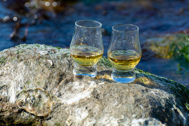 Degustación de whisky escocés de malta simple o mezclado y mar azul con piedras y ostras de fondo, tours privados de whisky en Escocia, Reino Unido - Foto, imagen