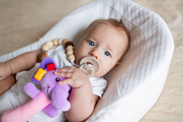 Cute blonde baby three months old lying in cocoon at home. Kid holds stuffed sound toy, sucks nipple.  - Φωτογραφία, εικόνα