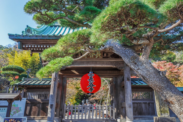 Kırmızı Dev fener Hasedera Tapınağı Kamakura ön kapısında - Fotoğraf, Görsel