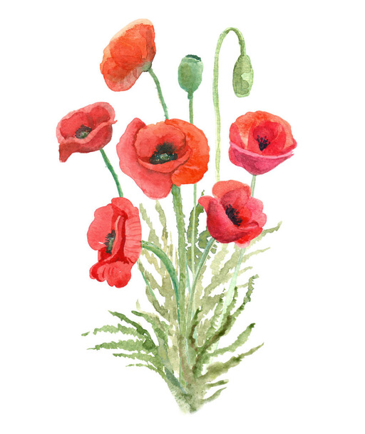 Watercolor  bouquet of beautiful red poppy flowers. Great decorative print for clothes, t-shirts, greeting cards, gift products. Hand painted illustration isolated on white. - Photo, image