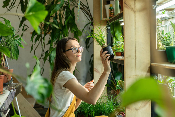 Florista mujer cuidado de la planta de interior para el jardín en casa. Trabaja como jardinero freelancer femenina con plantas en maceta - Foto, imagen