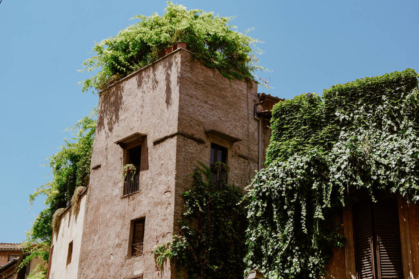 A low angle shot of an old building with rich vegetation on the roof in Rome, Italy, on a sunny day - Foto, Imagem