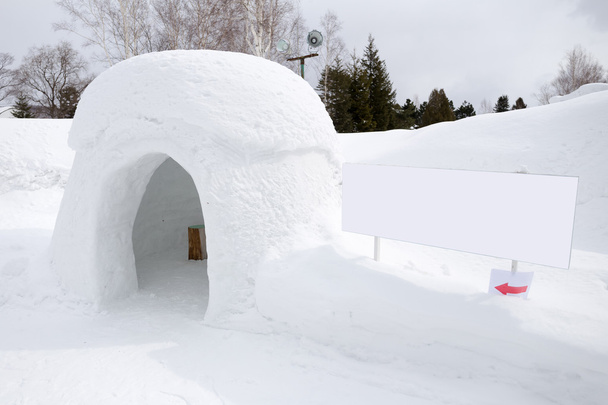 snow shelter with blank sign, for text or picture - Foto, Imagen