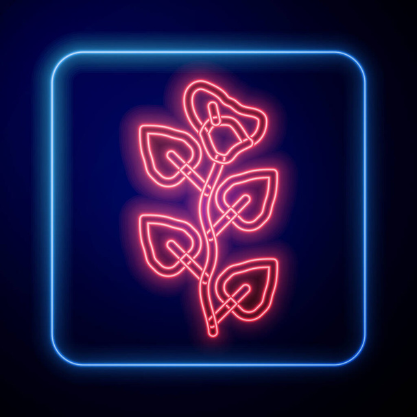 Glowing neon Ivy branch icon isolated on black background. Branch with leaves.  Vector. - Vector, Image