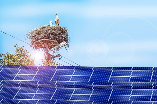 ηλιακοί συλλέκτες ενάντια στον ουρανό και τα πουλιά - Φωτογραφία, εικόνα