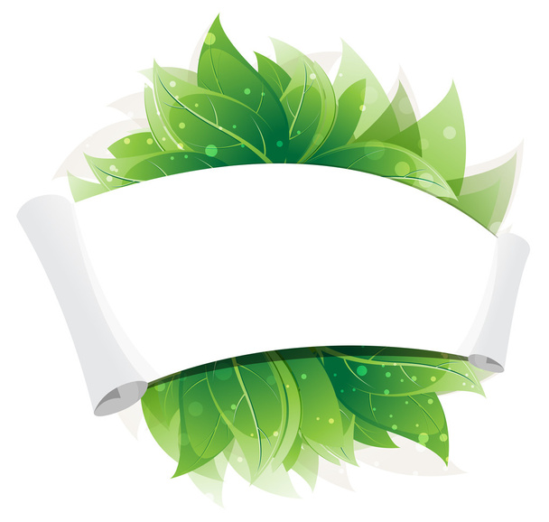  Green leaves and paper scroll - Vector, imagen