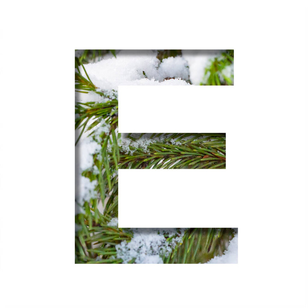 Winter font. Letter E, cut out of paper against the background of winter fir branches with snow. A set of volumetric natural fonts, suitable for Christmas signatures. - Foto, immagini