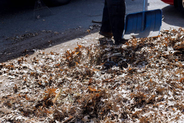 Limpieza en la caída caída de hojas de follaje con una durante el otoño en la ciudad - Foto, imagen