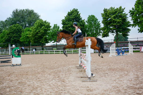 mostrar lección de salto en un curso con el detalle de la posición del jinete y el caballo en el momento del ritmo y el salto - Foto, imagen