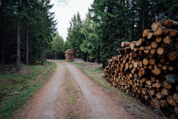 森の中にある木製の木製のログ. 高品質の写真 - 写真・画像