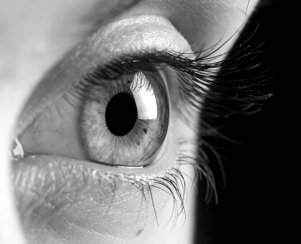 macro de un ojo en blanco y negro - Foto, Imagen