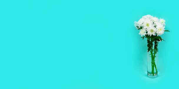 Banner. Kytice bílých chryzantémů ve skleněné váze na modrém pozadí. Den matek. Krásné květy chryzantémy - Fotografie, Obrázek
