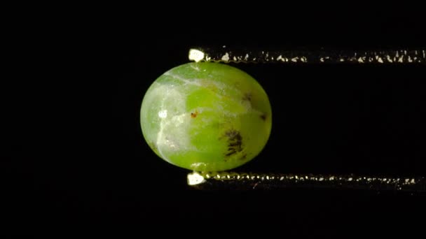 natürlicher hydrogrossularer grüner Granat in Pinzette auf Drehtisch - Filmmaterial, Video
