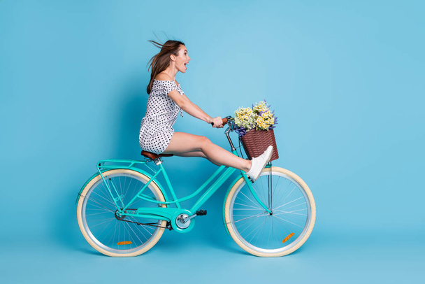 Full length profile photo of crazy girl drive bike raise legs wear dotted short dress footwear isolated blue color background - Fotó, kép
