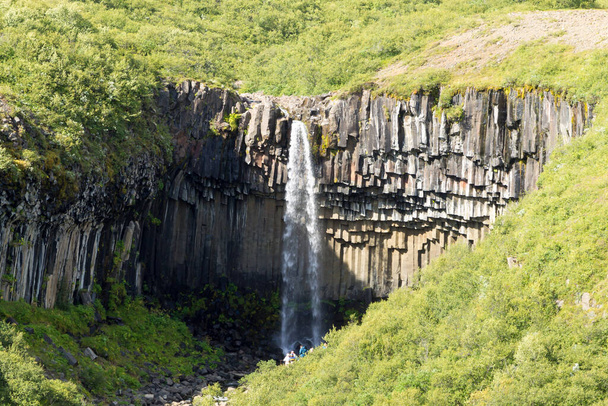 Svartifoss padá v letní sezóně pohled, Island. Islandská krajina. - Fotografie, Obrázek