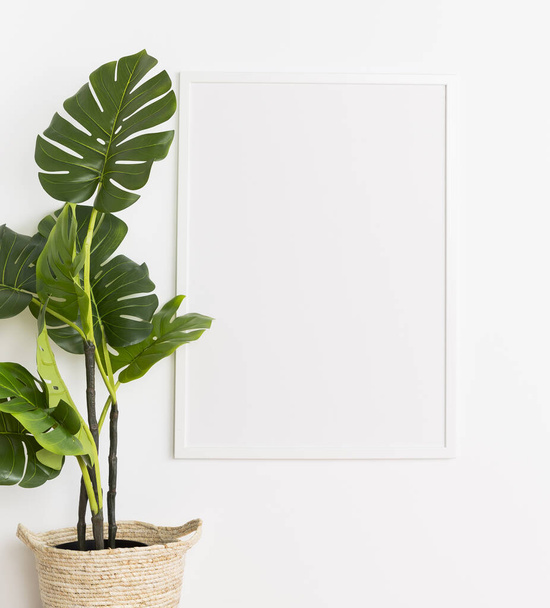 dekorative Pflanze mit leerem Rahmen. Auflösung und hohe Qualität schönes Foto - Foto, Bild