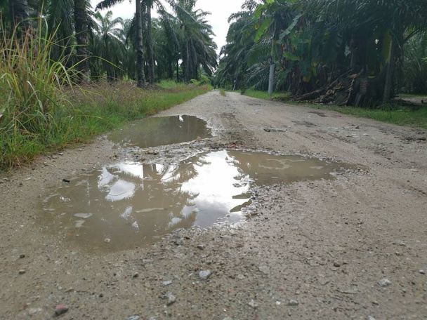лужа найдена на сельской дороге после тяжелого дождя. - Фото, изображение
