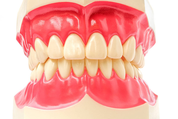 close-up tandheelkundige instrumenten en tandheelkundige hygiëniste checkup concept met tanden model orale gezondheidszorg op witte achtergrond - Foto, afbeelding