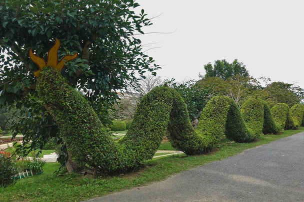Żywe krzewy w parku przycinane są w formie długiego, zakrzywionego węża. Na głowie jest korona. W pobliżu znajduje się ścieżka dla pieszych, zielone drzewo. Wietnam. Dalat Przewodniczący - Zdjęcie, obraz