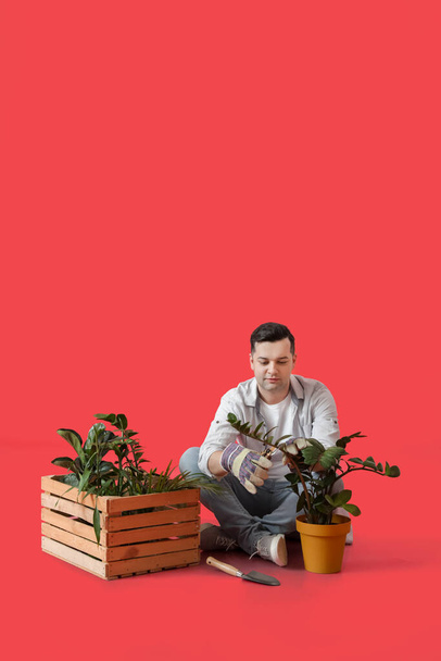 Young male gardener on color background - Foto, Imagen