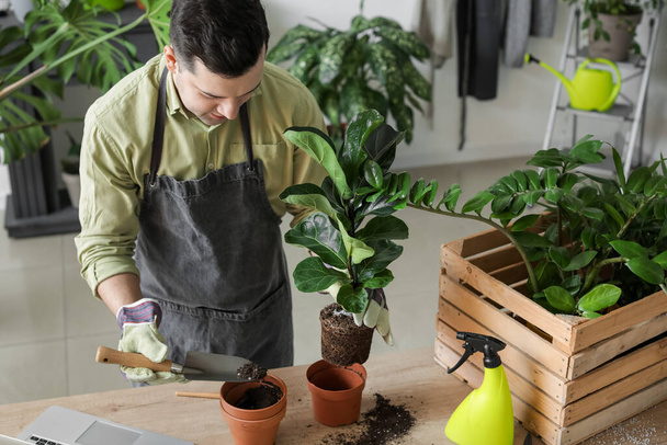 Молодий чоловік доглядає за рослинами вдома
 - Фото, зображення