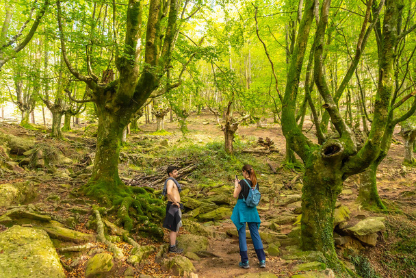 A couple in the beech forest on the path up Mount Adarra in the town of Urnieta near San Sebastian, Gipuzkoa. Basque Country - Zdjęcie, obraz