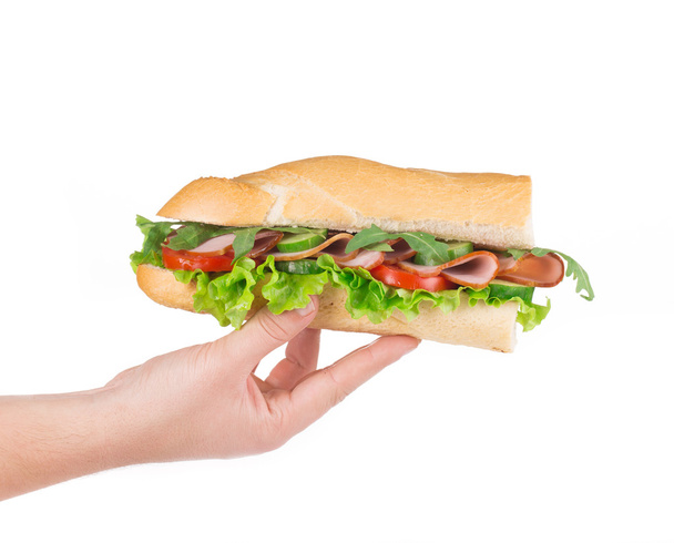 Hand holding fresh sandwich. - Фото, изображение