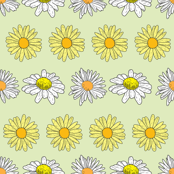 Vector pastel green background daisy flowers and wild flowers. Seamless pattern background - Vektor, obrázek
