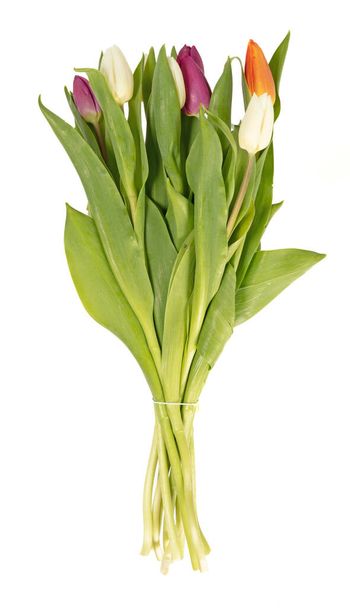 Manojo de tulipanes aislados en la superficie blanca - Foto, Imagen