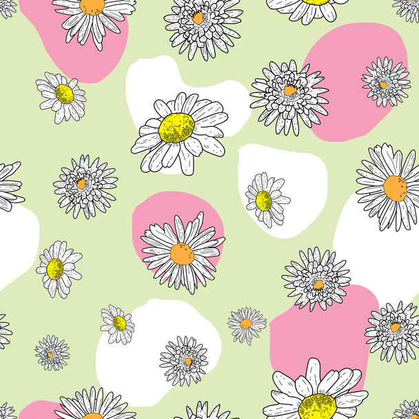 Vector pastel groene achtergrond madeliefje bloemen en wilde bloemen. Naadloze patroon achtergrond - Vector, afbeelding