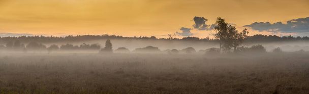 Panorama aberrant des prairies au lever du soleil, zone tampon du parc national Bialowieski - Photo, image